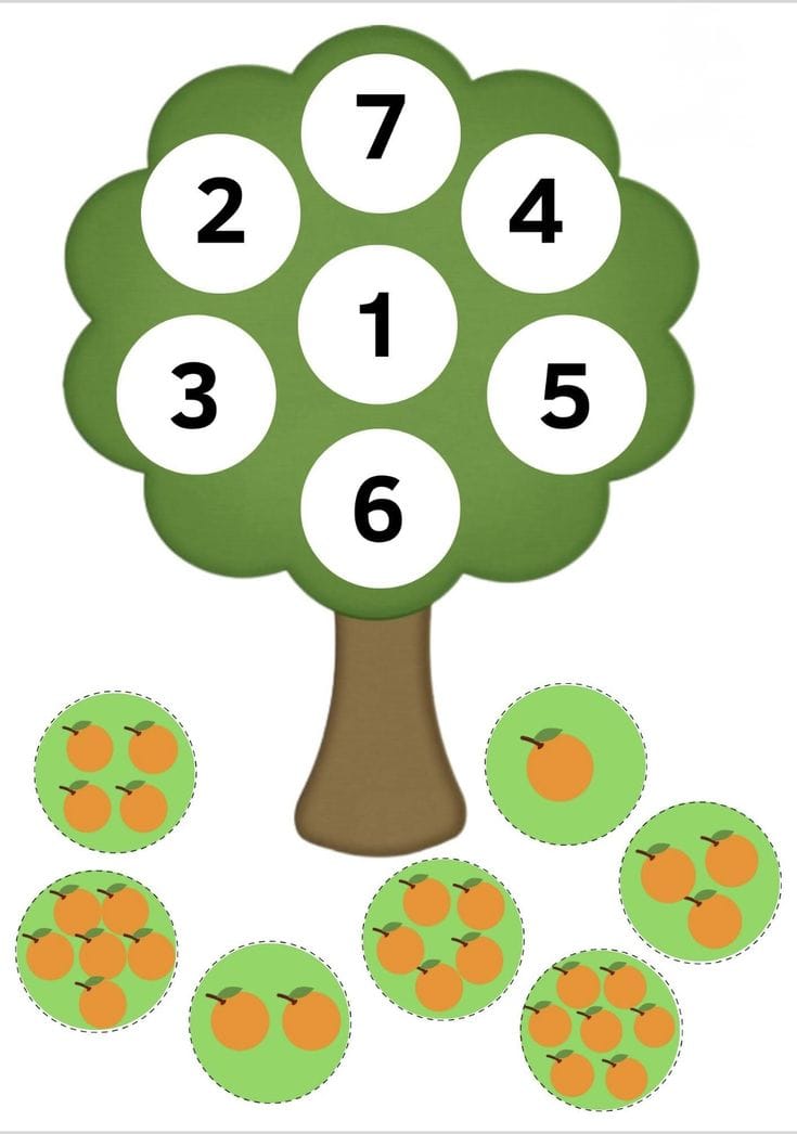 Eğitim Materyali 36