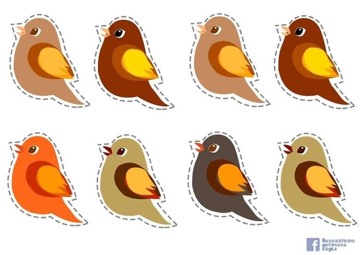 Eğitim Materyali 28