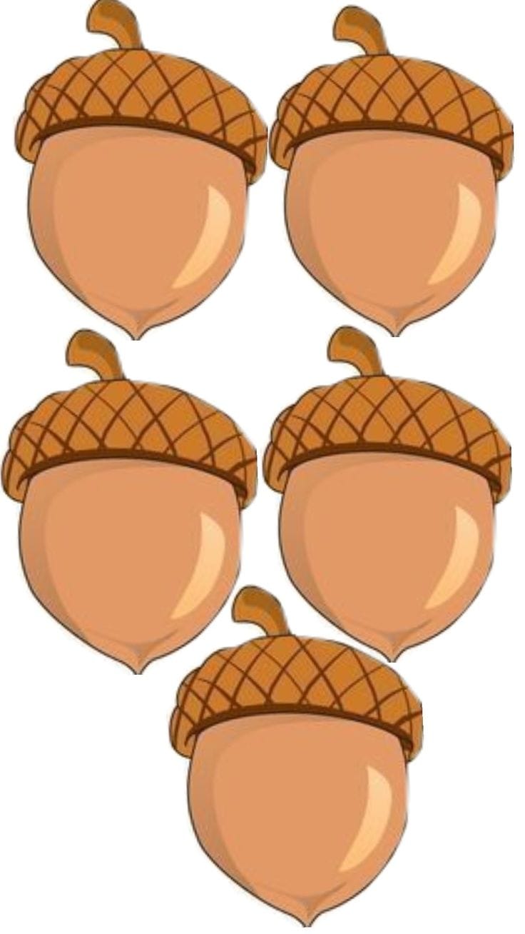 Eğitim Materyali 26